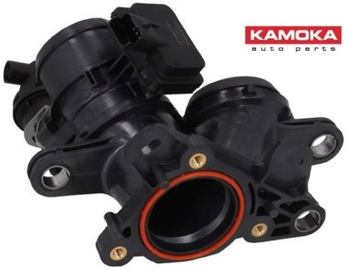Kamoka 112117 - kamoka,