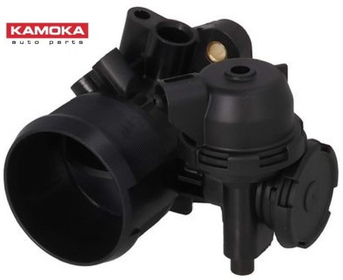 Kamoka 112118 - kamoka,