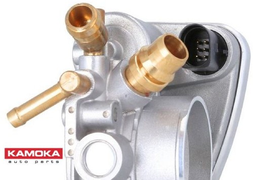 Kamoka 112019 - kamoka,